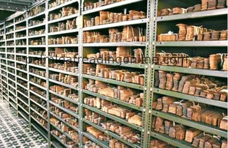 Palm Leaf Astrology Online Consultation