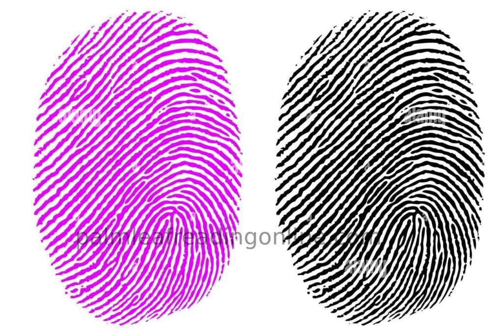 Guruji Velmurugan & Palm leaf Reading Online