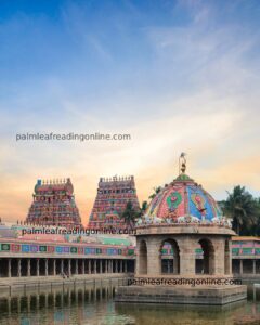 Vaitheeswaran koil Palm Leaf Astrologer