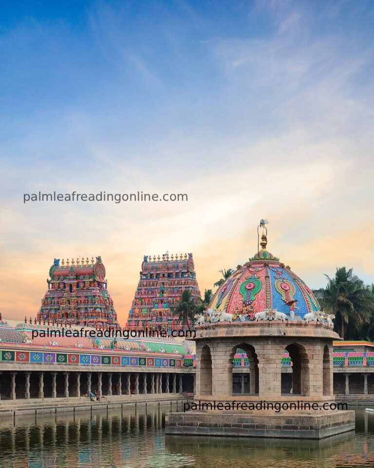 Vaitheeswaran koil Palm Leaf Astrologer