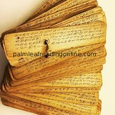 Palm Leaf Astrology Online Consultation